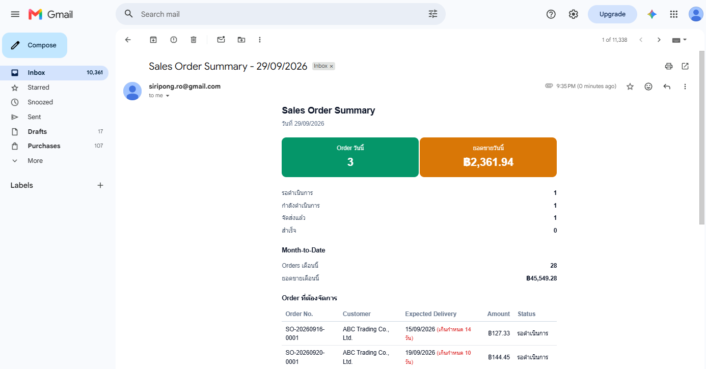 ตัวอย่างอีเมลสรุปรายวัน Sales Order Tracker
